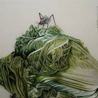 Lucky Cabbage Hand Embroidery